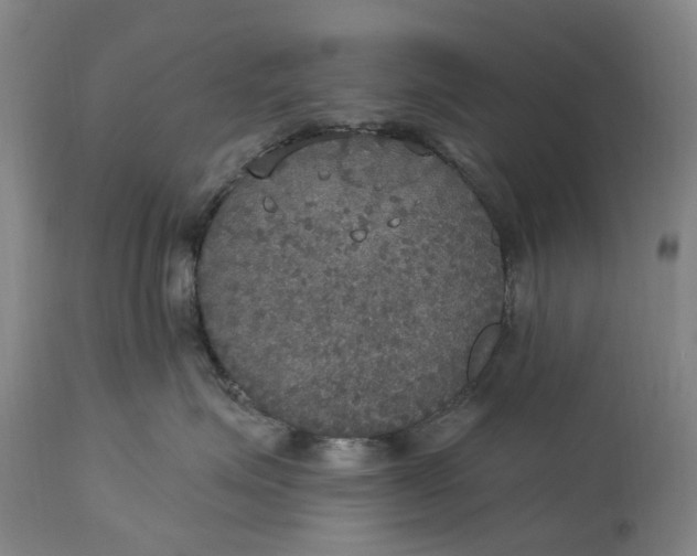 X0000114730623200911121756