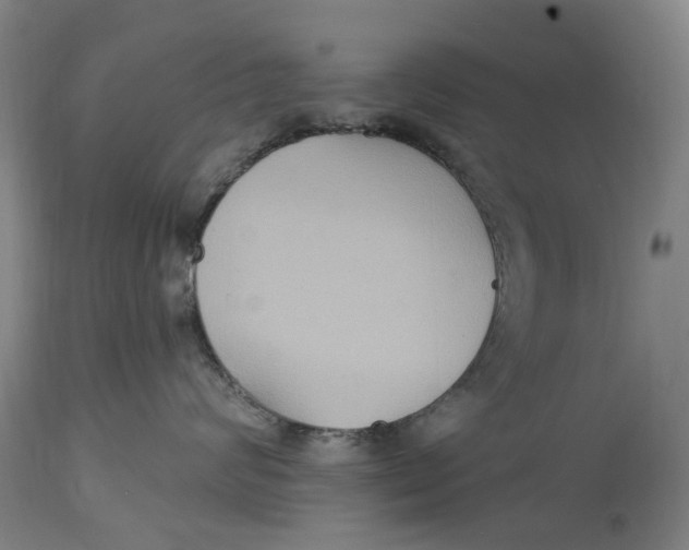 X0000114730624200911121756