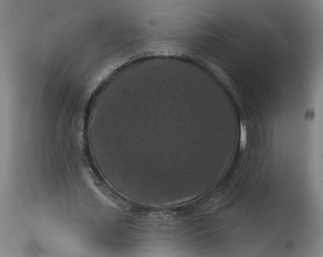 X0000114730627200911121755