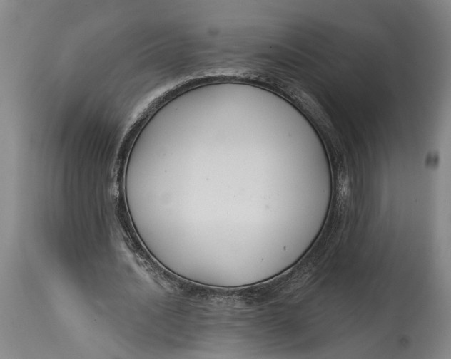 X0000114730628200911121755