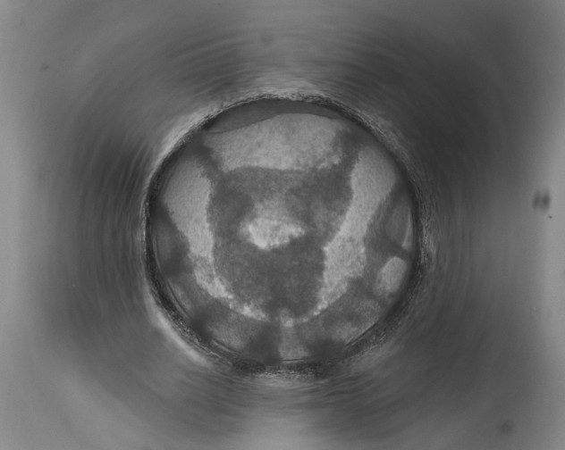 X0000114730630200911121755