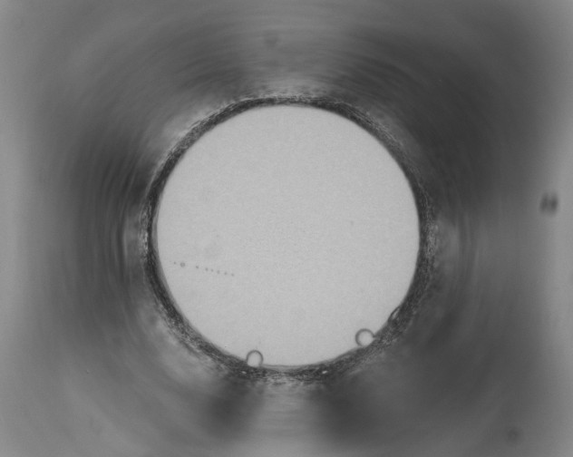 X0000114730632200911121755