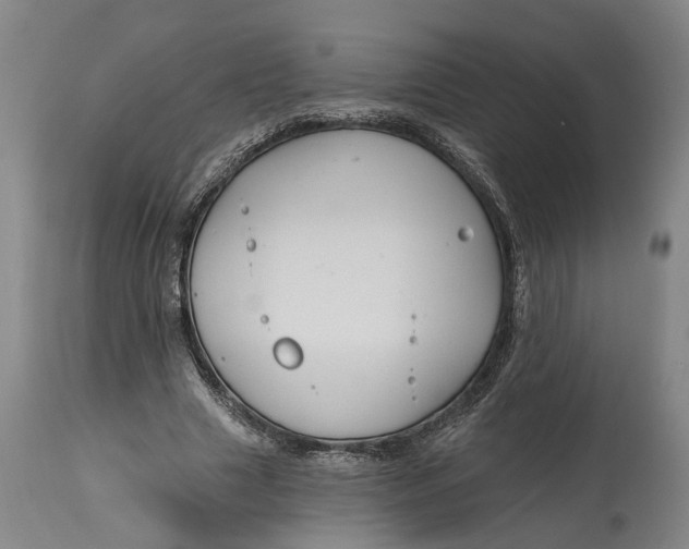 X0000114730633200911121755