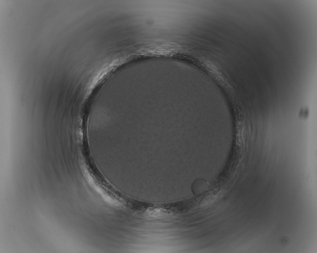 X0000114730634200911121755