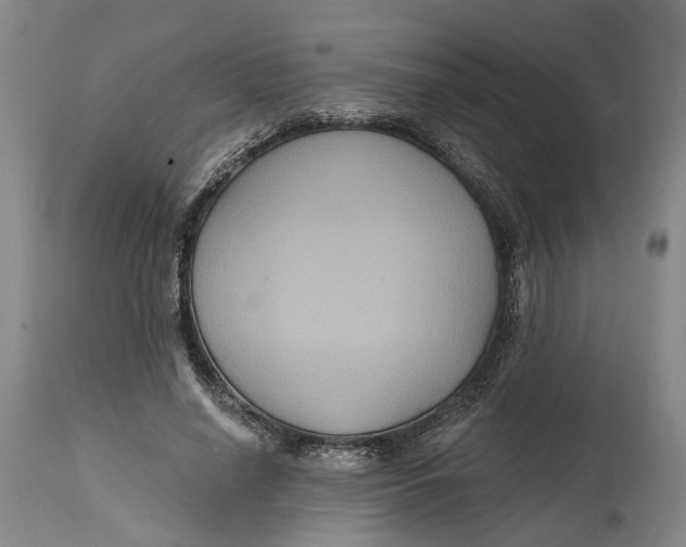 X0000114730638200911121755