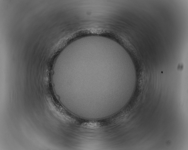 X0000114730639200911121755
