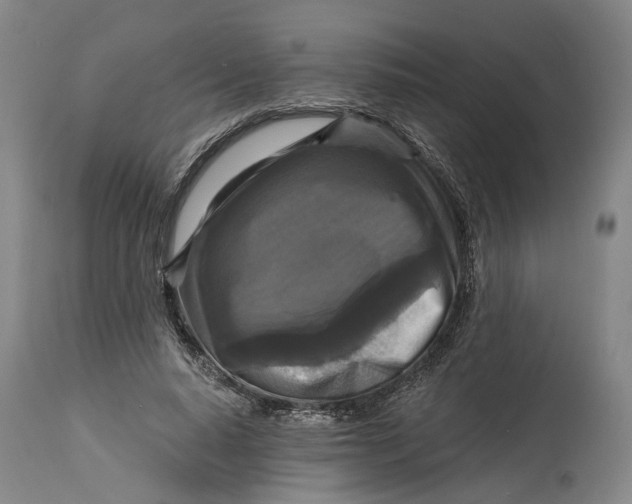 X0000114730640200911121755