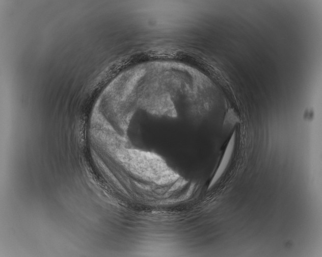 X0000114730641200911121755