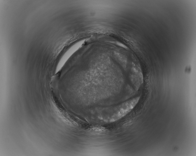 X0000114730642200911121755