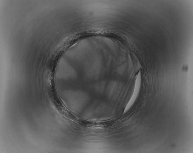 X0000114730643200911121755
