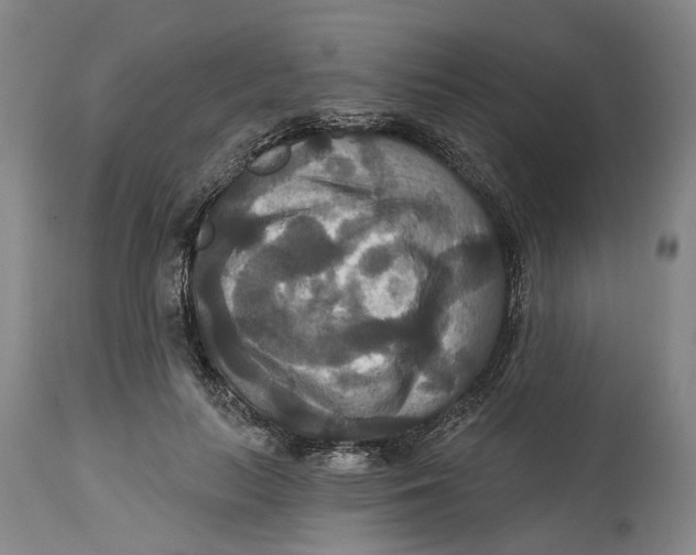 X0000114730647200911121755