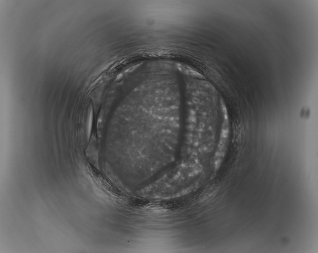 X0000114730648200911121755