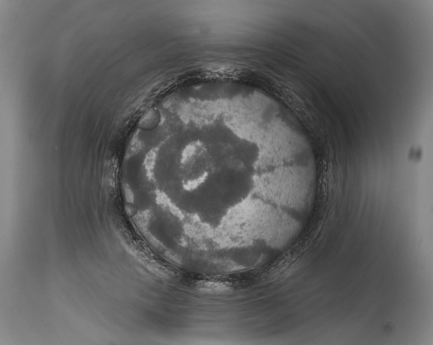X0000114730649200911121755