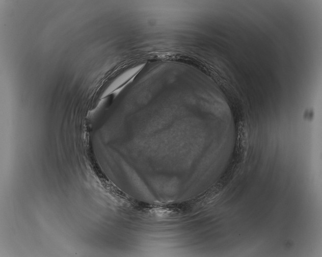 X0000114730650200911121755