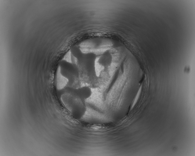 X0000114730657200911121755