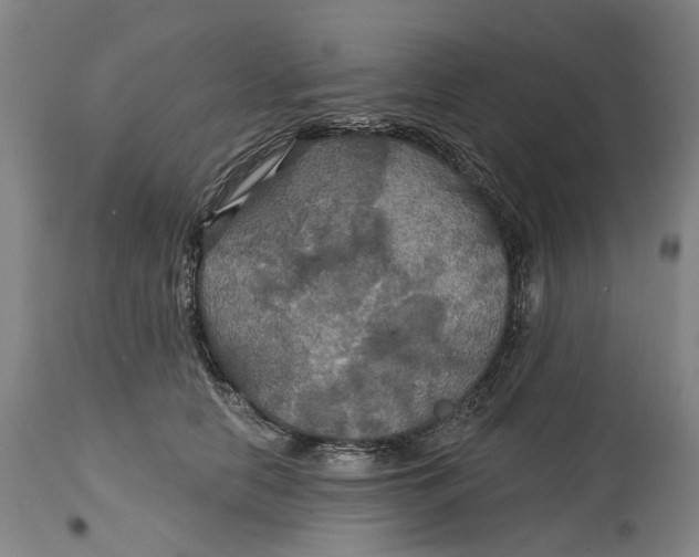 X0000114730658200911121755