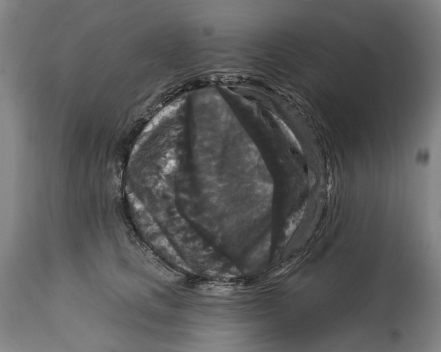 X0000114730661200911121755