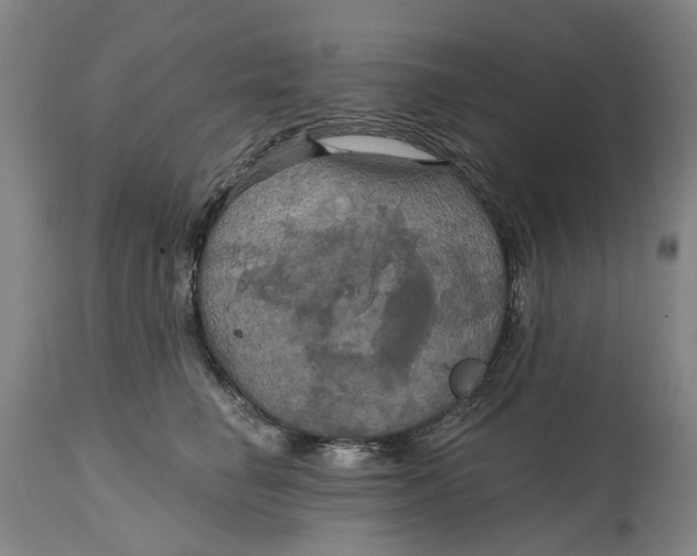 X0000114730662200911121756