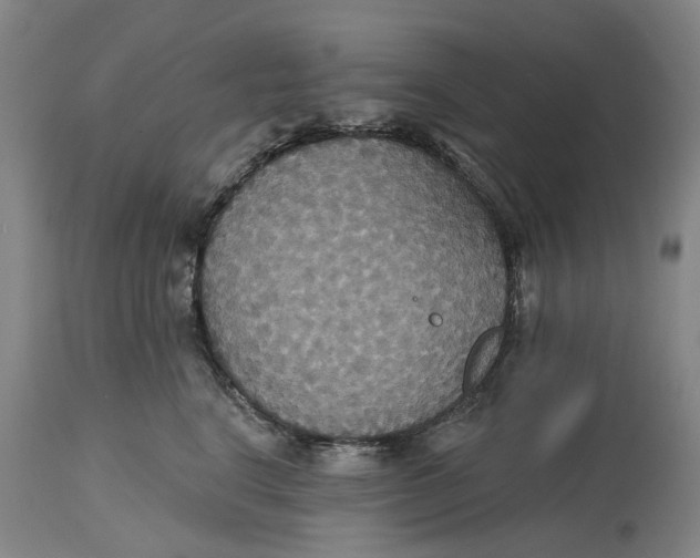 X0000114730664200911121756