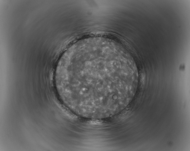 X0000114730668200911121756