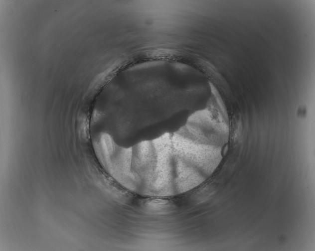 X0000114730669200911121756