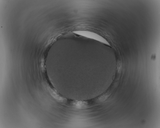 X0000114730670200911121756