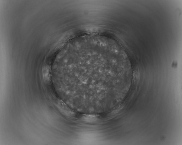 X0000114730671200911121756