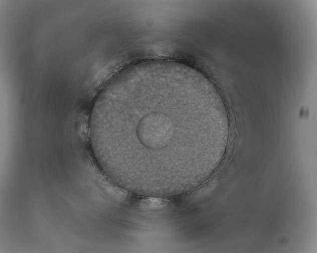 X0000114730672200911121756