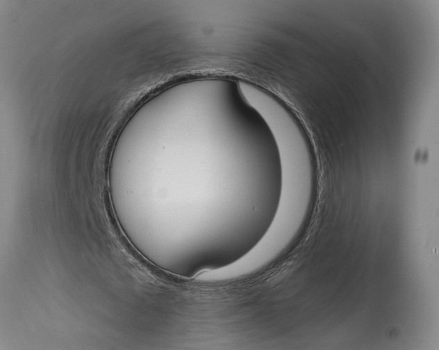 X0000114730673200911121755