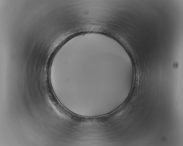 X0000114730674200911121755