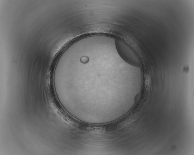 X0000114730676200911121755