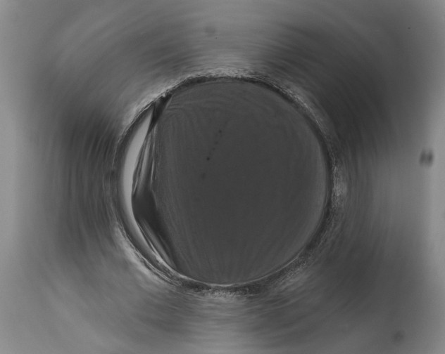 X0000114730677200911121755