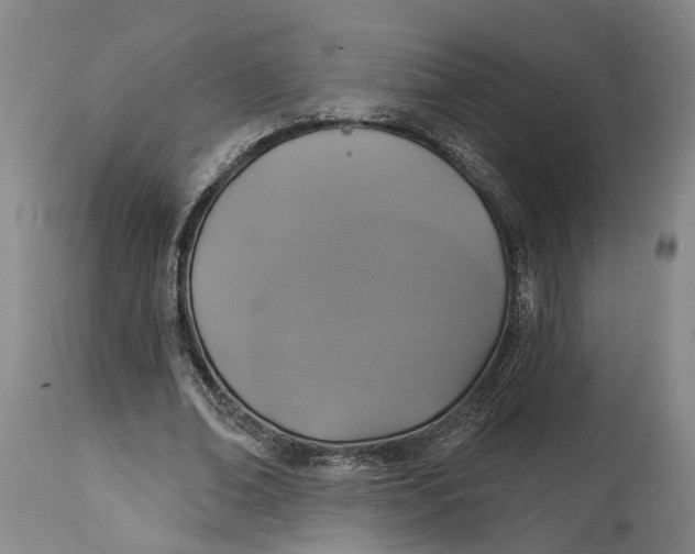 X0000114730678200911121755