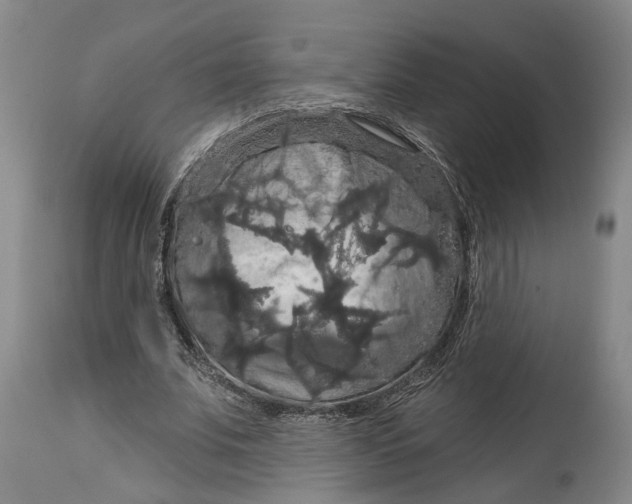 X0000114730679200911121755