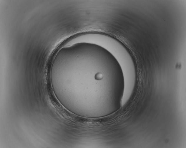 X0000114730680200911121755