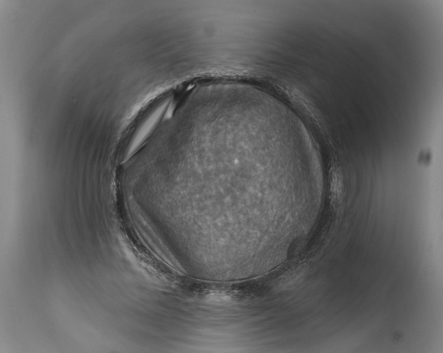 X0000114730684200911121755