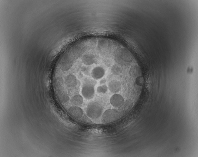 X0000114730687200911121755