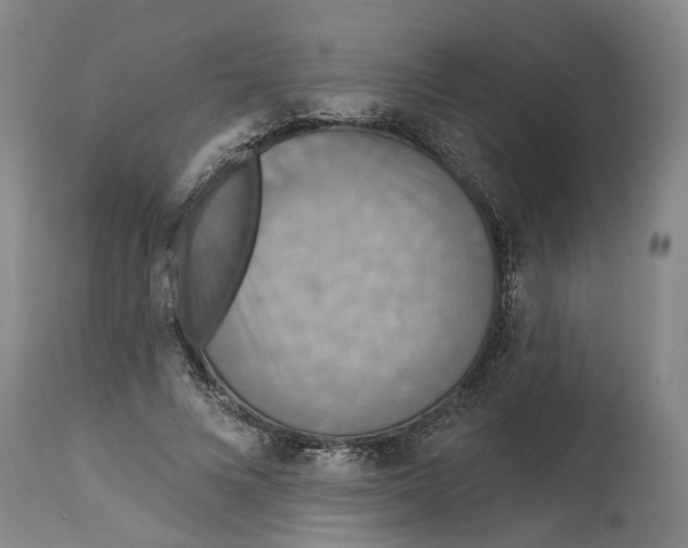 X0000114730688200911121755