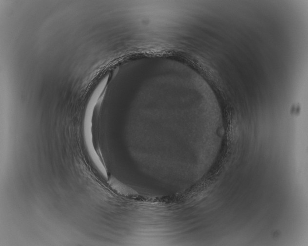 X0000114730689200911121755