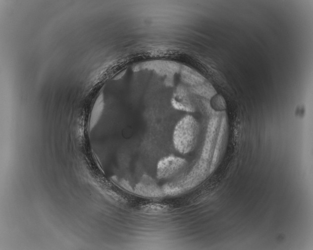 X0000114730691200911121755