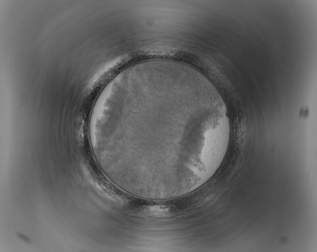 X0000114730692200911121755