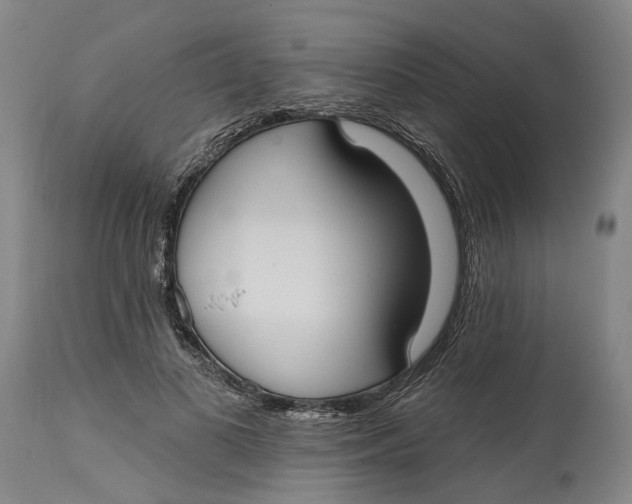 X0000114730693200911121755