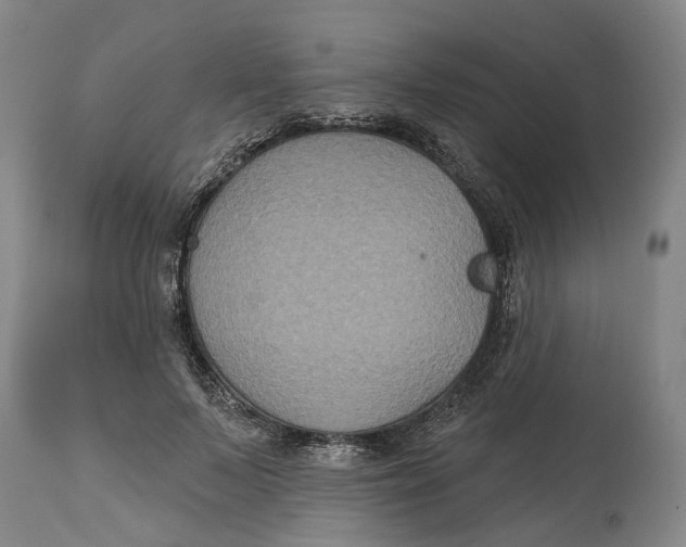 X0000114730695200911121755