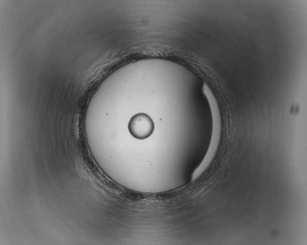 X0000114730696200911121755