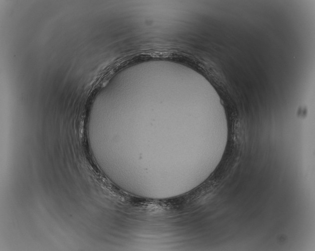 X0000114730697200911121755