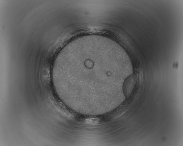 X0000114730700200911121755