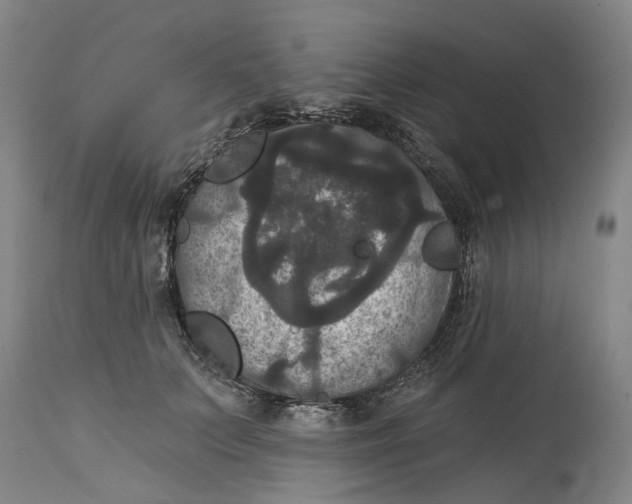 X0000114730703200911121755