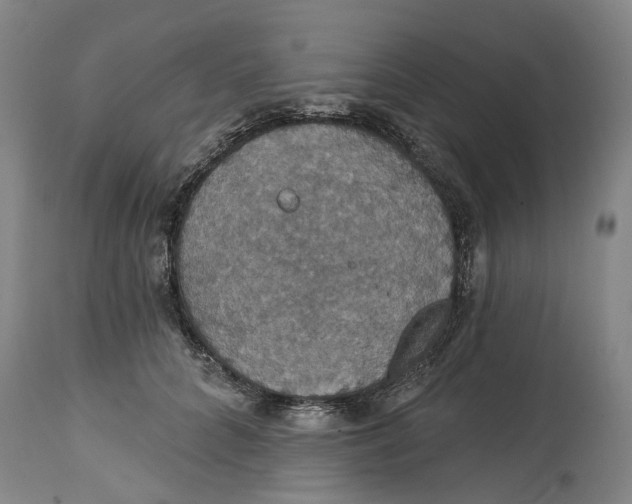 X0000114730704200911121755