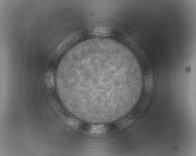 X0000114730705200911121755