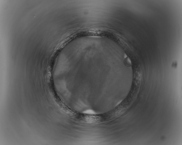 X0000114730707200911121755